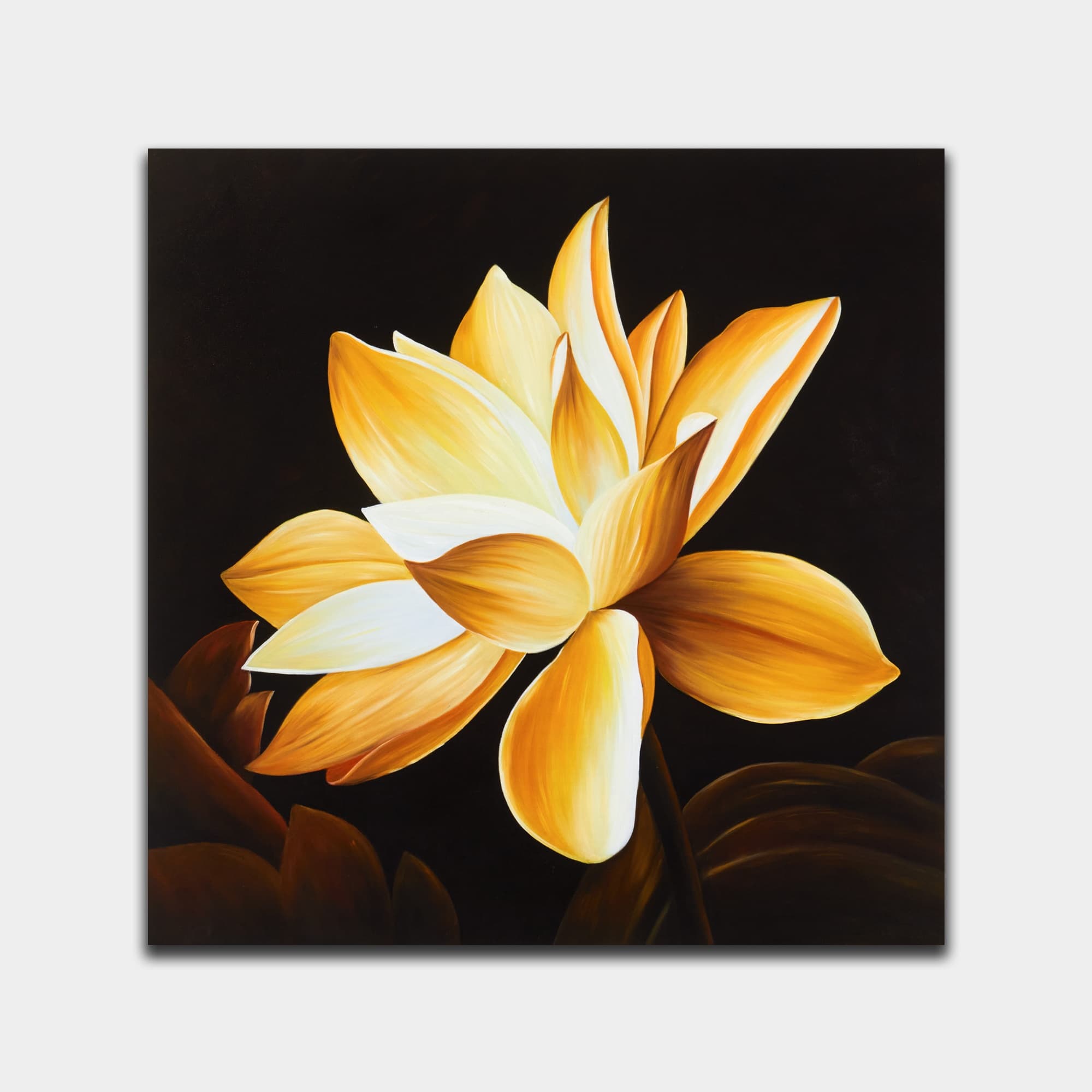 Golden Lotus Close-Up on Black Canvas