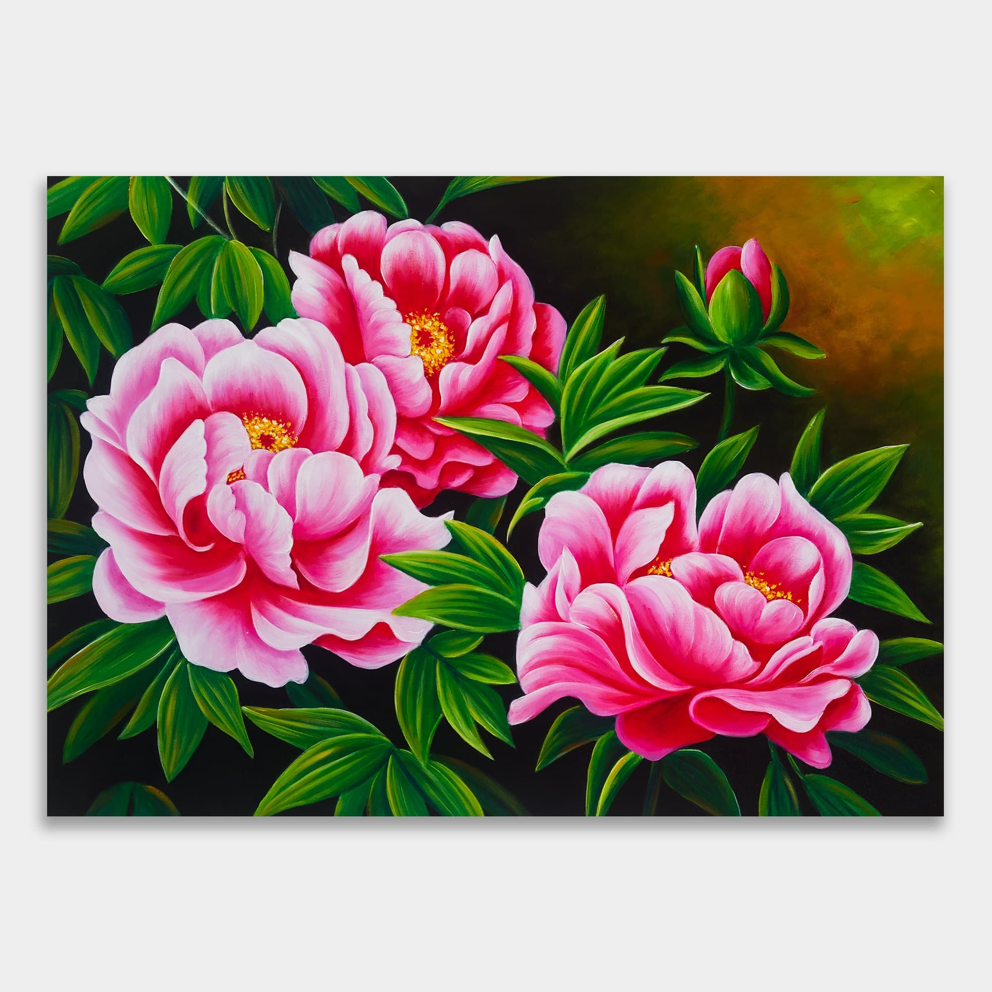 Deep Pink Peonies on Dark Background