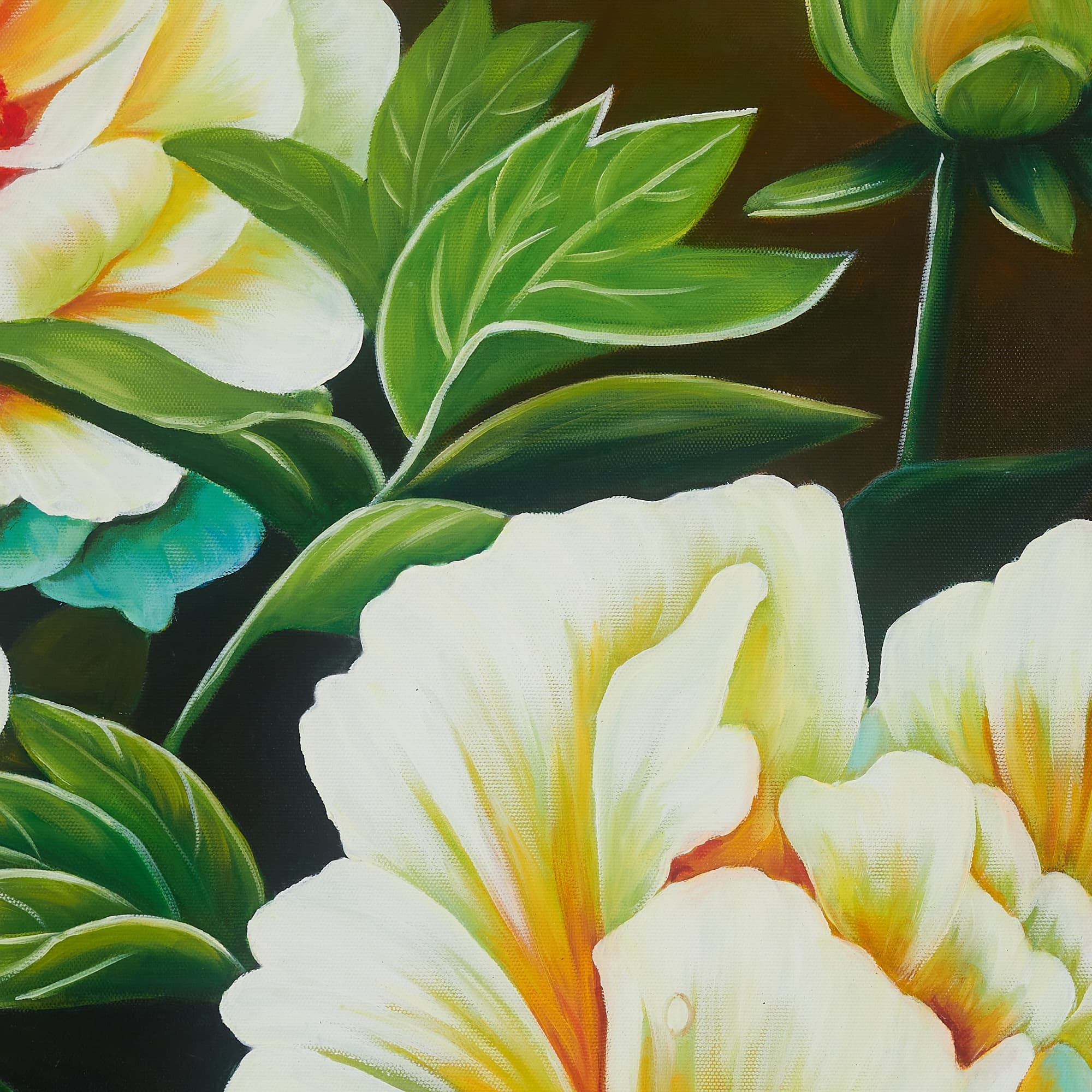 Creamy White Peonies in Warm Light image 4