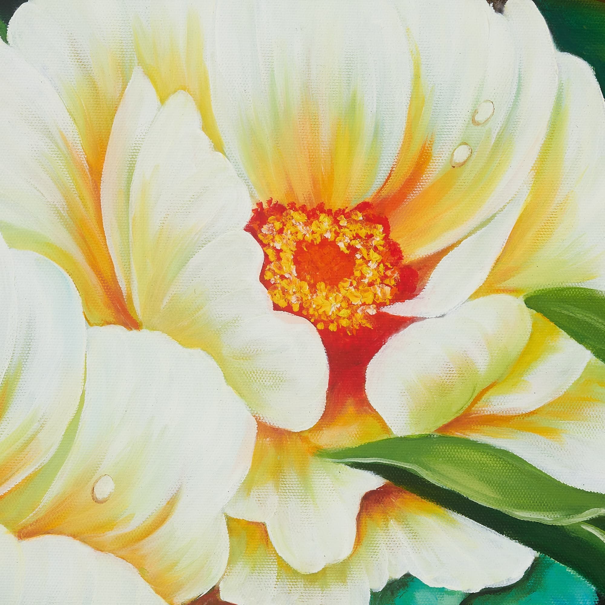 Creamy White Peonies in Warm Light image 6