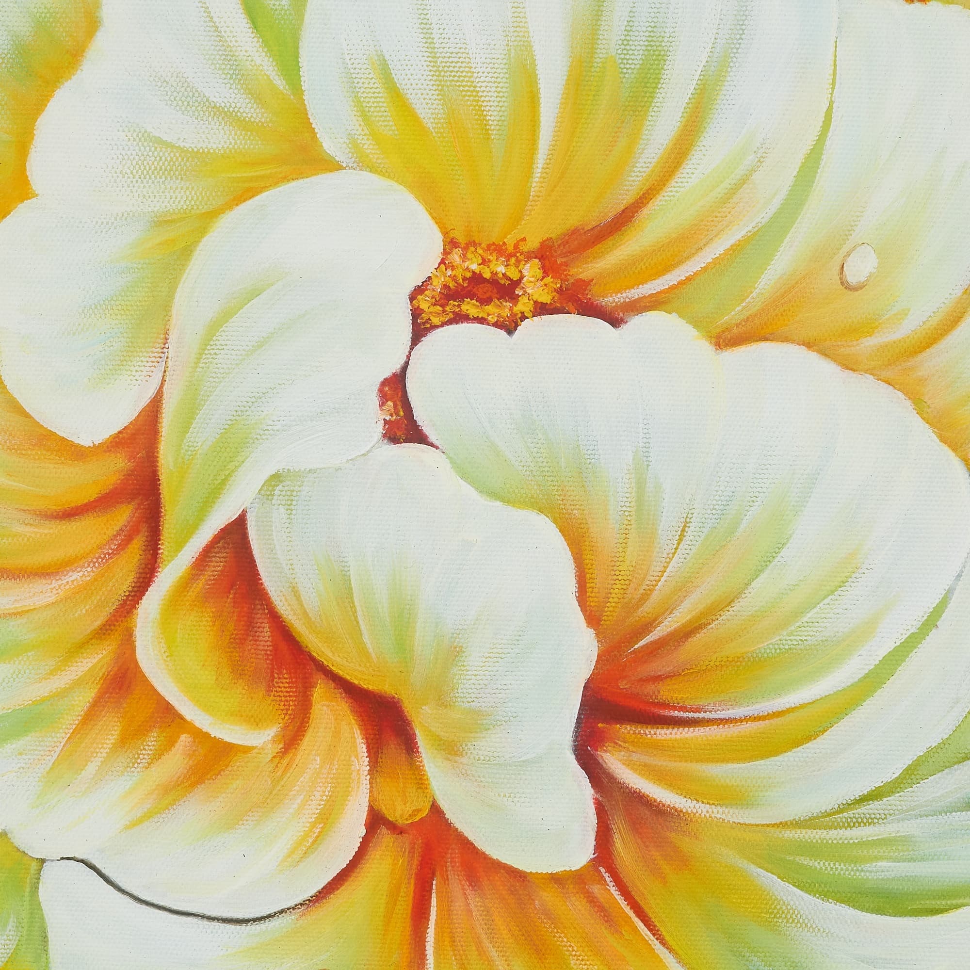 Creamy White Peonies in Warm Light image 7