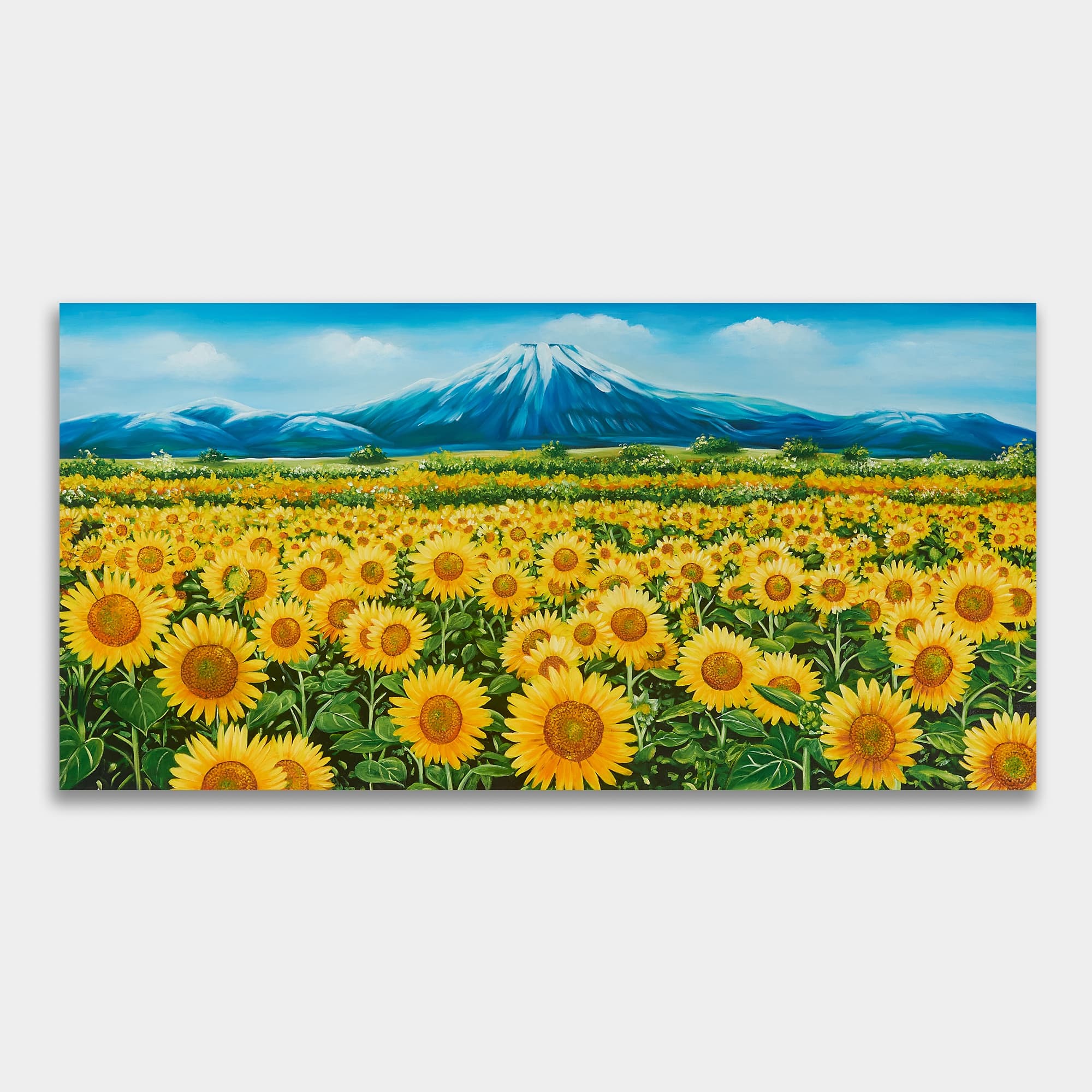 Sunflower Field with Mountain View