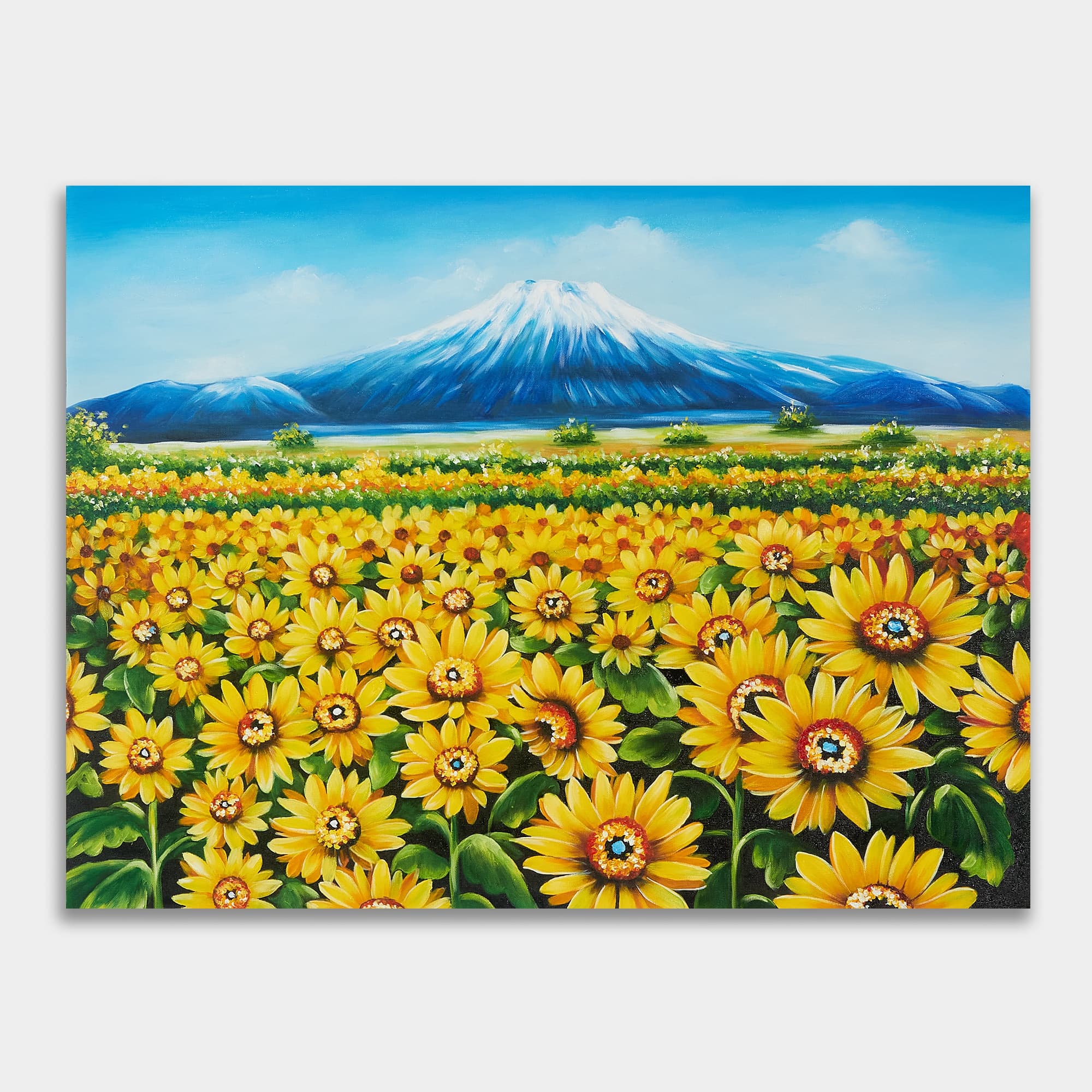 Sunflower Field and Snowy Mountain