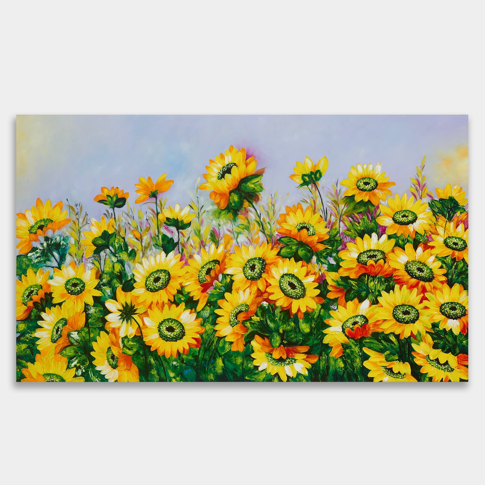 Sunflower Garden in Full Bloom
