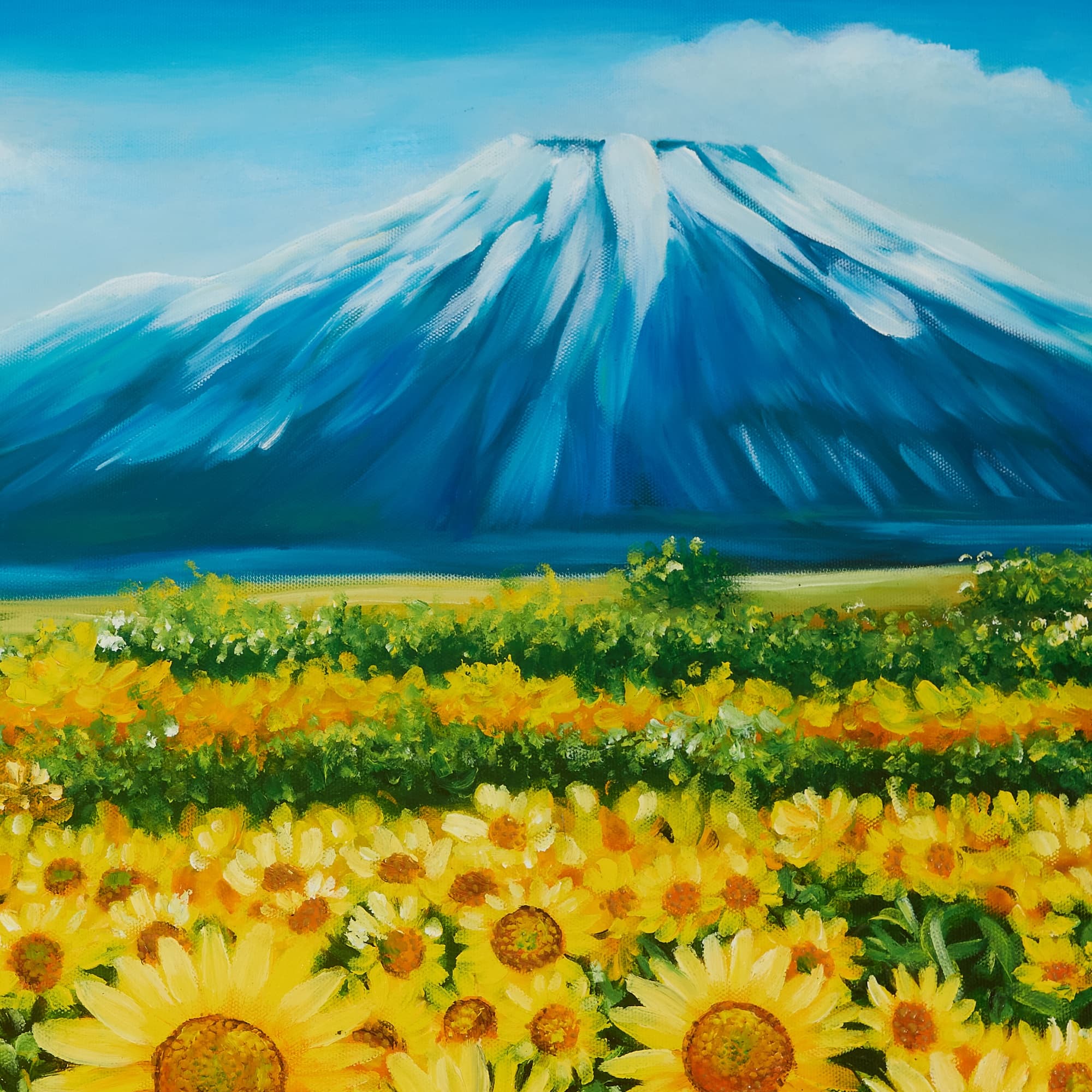 Sunflower Field with Mountain View image 8