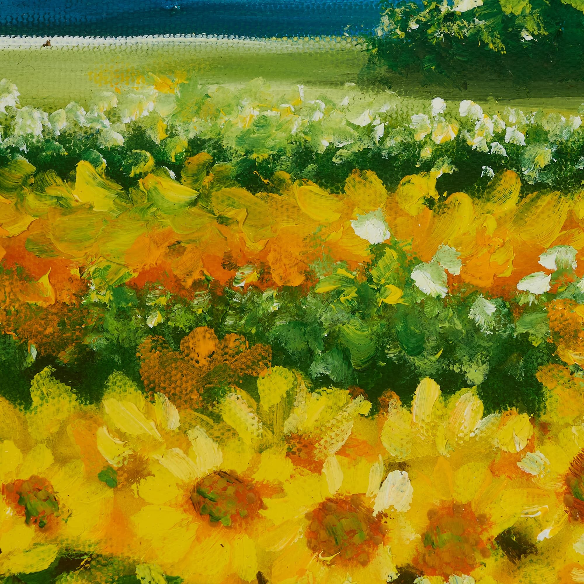 Sunflower Field with Mountain View image 7
