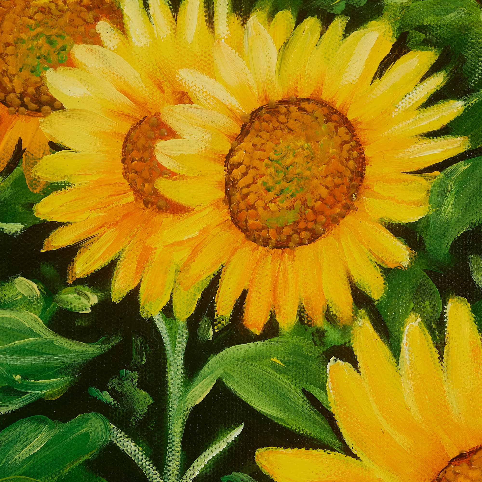 Sunflower Field with Mountain View image 6