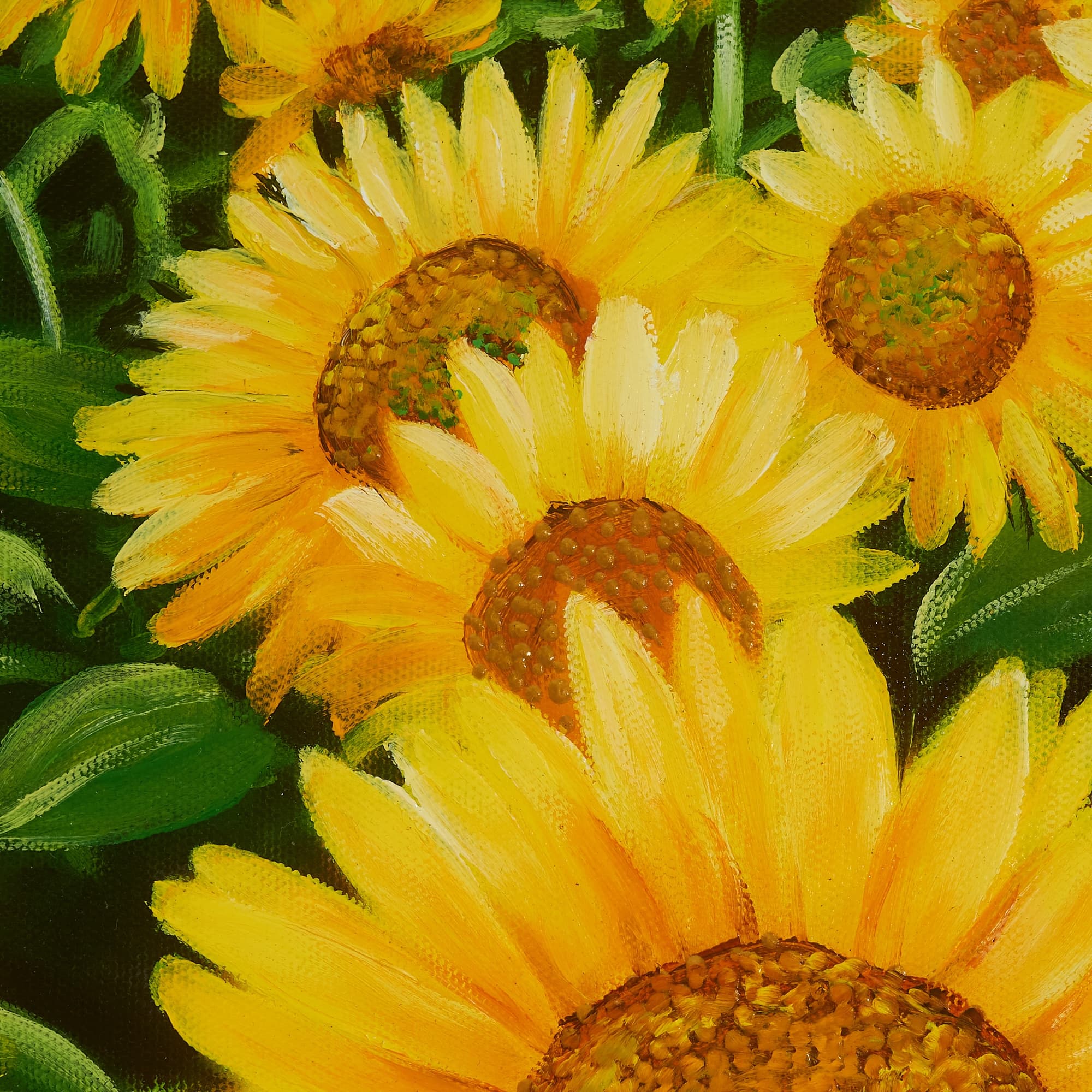Sunflower Field with Mountain View image 4