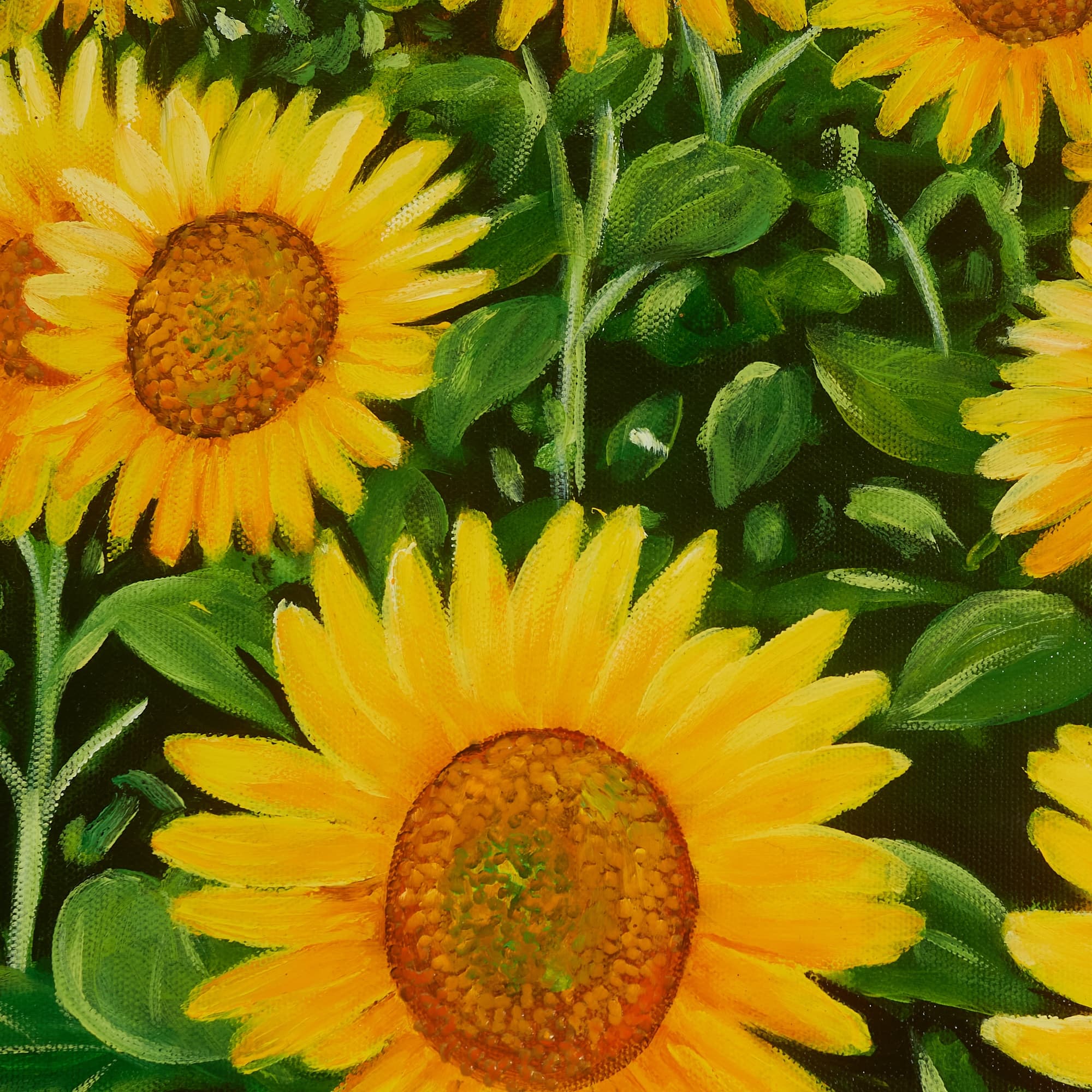 Sunflower Field with Mountain View image 3