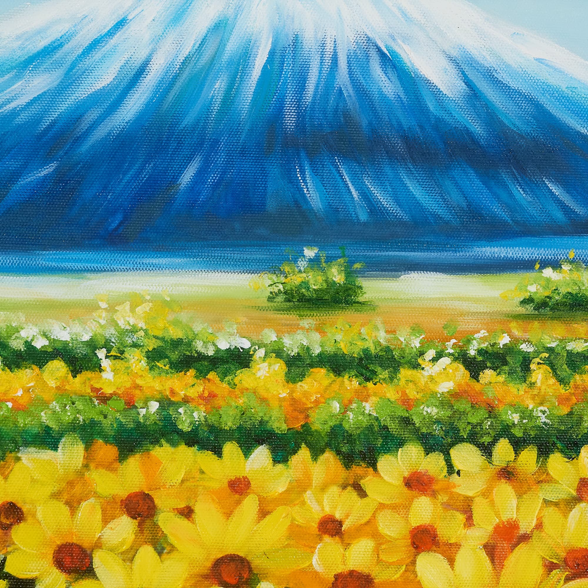 Sunflower Field and Snowy Mountain image 6