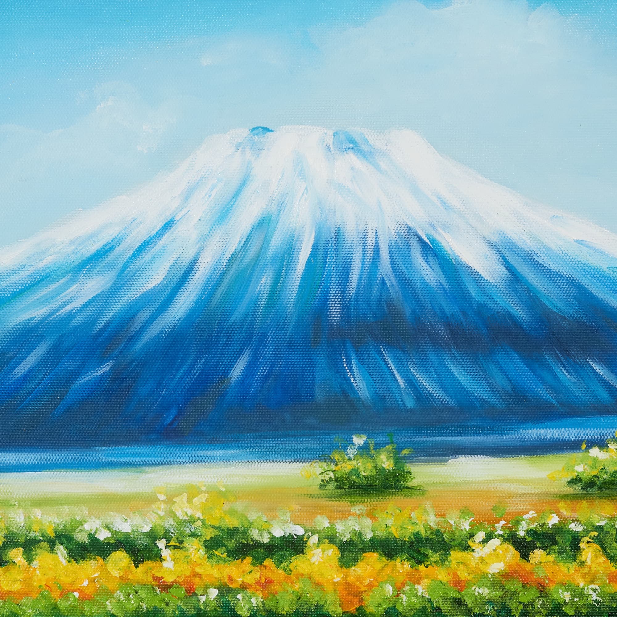 Sunflower Field and Snowy Mountain image 5