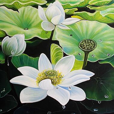 Lotus