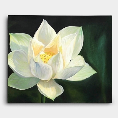한송이의 하얀 연꽃을 표현한 연꽃 그림