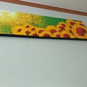 해바라기 그림 8 photo review